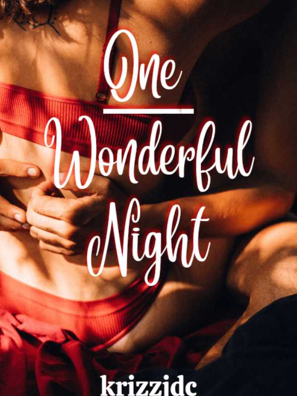 ONE WONDERFUL NIGHT