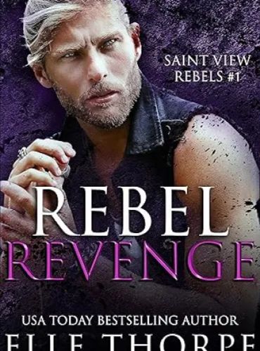 Rebel Revenge (Saint View Rebels Book 1)